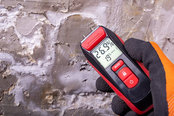 Best Commercial Mold Remediation in Mineral Point, WI