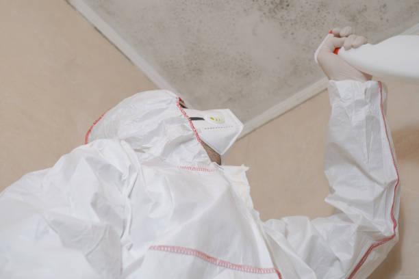 Professional Mold Remediation in Mineral Point, WI